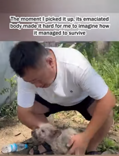 C1707002 He is very afraid of humans