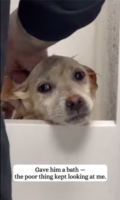 C3007014 This rescue ended in tears—for everyone involved part2