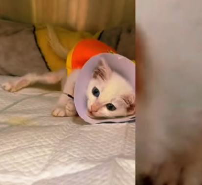 C0108010 Every bone was showing… but no one seemed to care part2