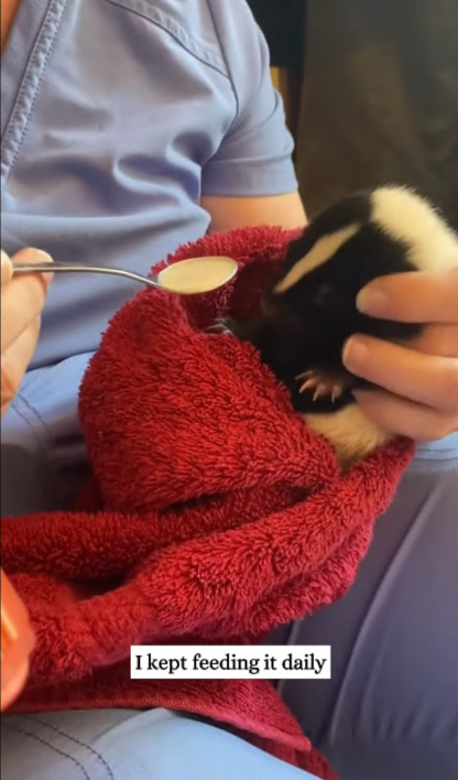 C0108008 This animal was hanging on by a thread… until a stranger appeared part2