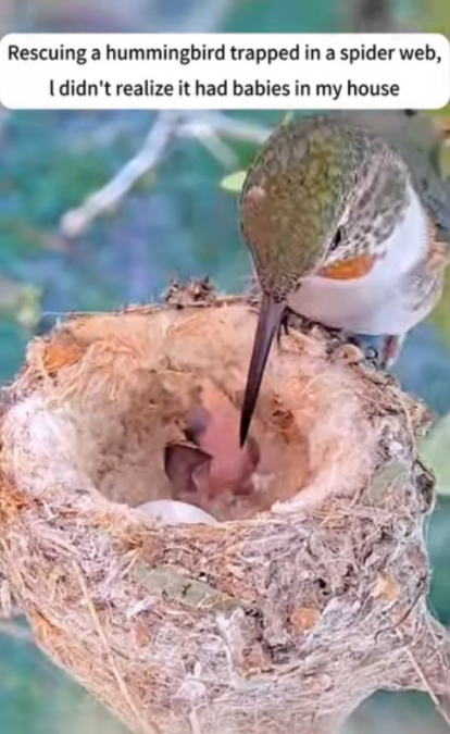 C2207003 Found barely alive, wrapped in wire and bleeding out part2