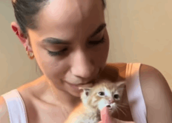 C2207001 This animal was left to die in the cold and what happened next will break your heart part2