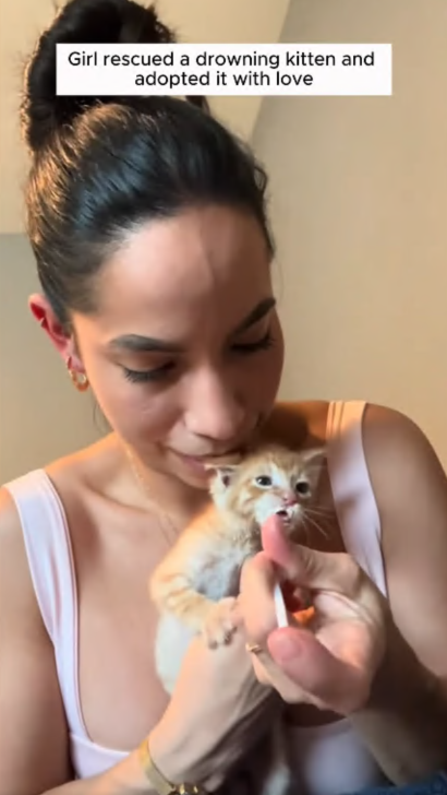 C2207001 This animal was left to die in the cold and what happened next will break your heart part2