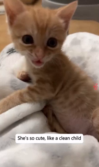 C2607003 Left in the cold with no shelter, no food, no hope part2