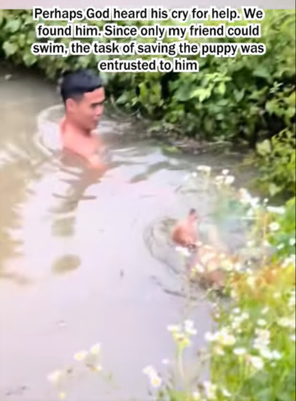 C1807001 Rescue a puppy that has fallen into the water part 2