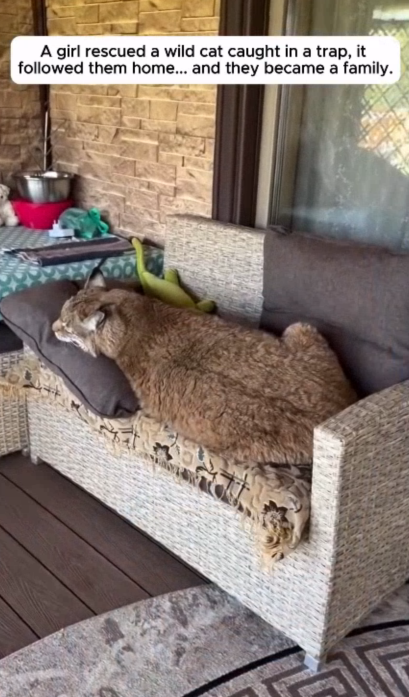 C2607007 Its body was covered in bite marks part 2