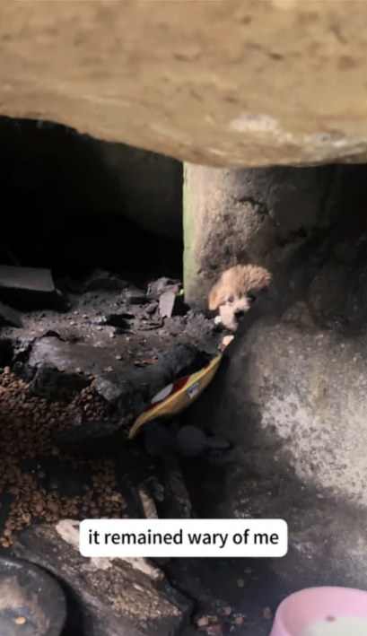 C3007009 We followed a trail of blood and found this part2