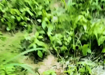 M1009027_The Echo After Goodbye When Silence Said Everything_part2