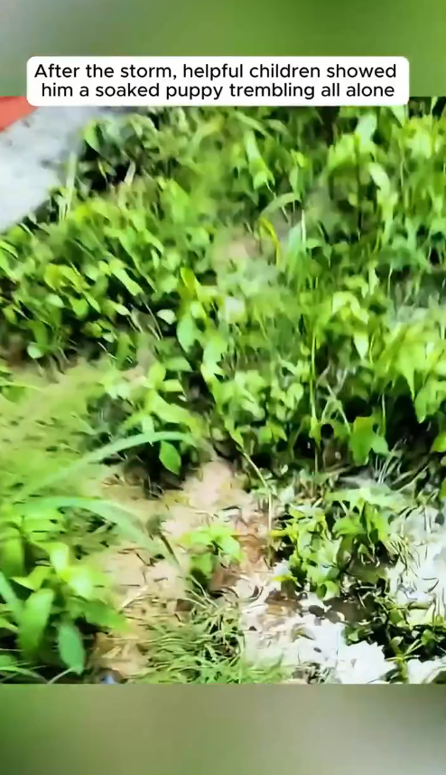 M1009027_The Echo After Goodbye When Silence Said Everything_part2