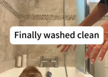 M1009030 Maria De Fátima Da Justa on Reels part2