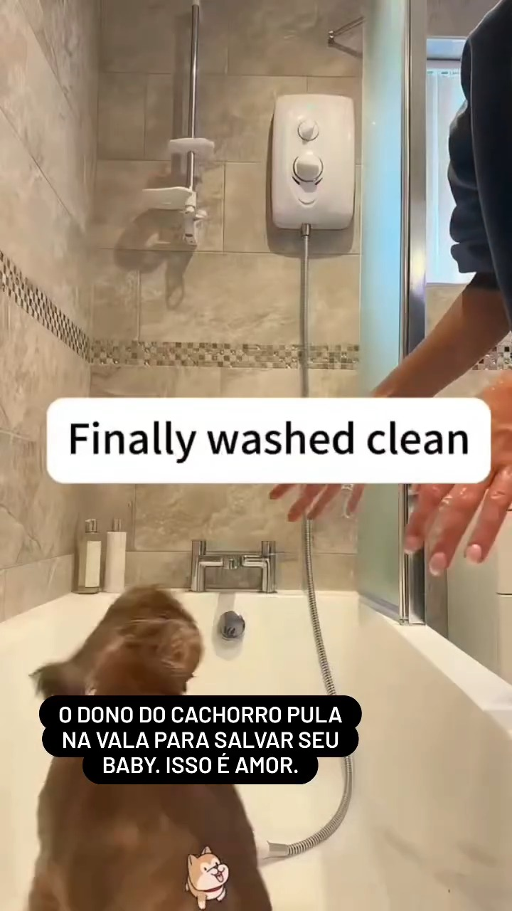 M1009030 Maria De Fátima Da Justa on Reels part2