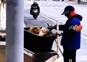 M1509019_Aguenta coração muita emoção Leuza Rocha_part2