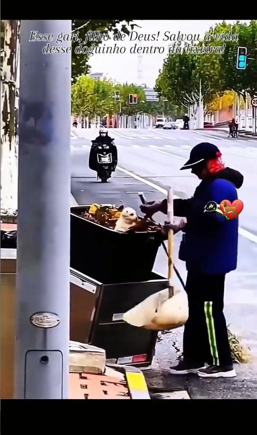 M1509019_Aguenta coração muita emoção Leuza Rocha_part2