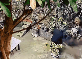 M2009006_Animals fyp viral_part2