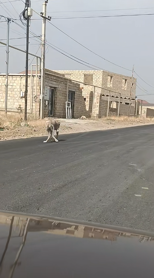 M2009001_TikTok video_part2