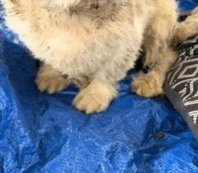 M2109014Today went to experience side of rescue. ve picked up many_part2