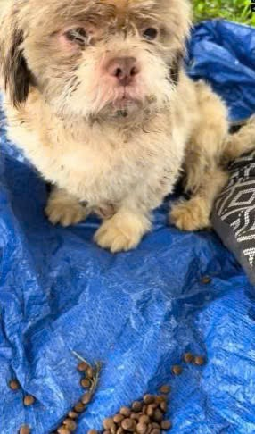 M2109014Today went to experience side of rescue. ve picked up many_part2