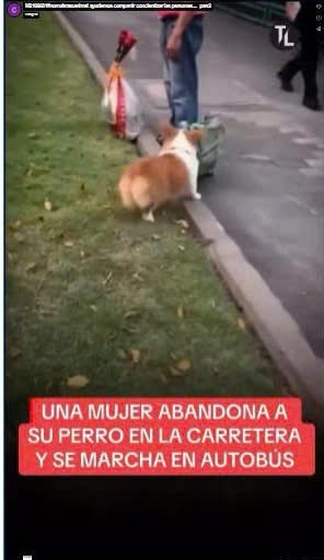 M2109001#nomaltratoanimal ayudemos compartir concientizar las personas…._part2