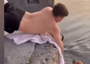 M3108032_Fajardo Denia on Reels_part2