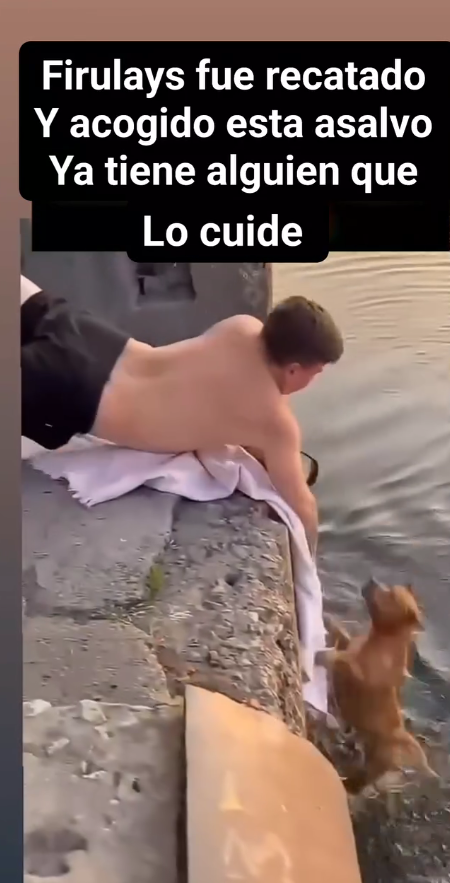 M3108032_Fajardo Denia on Reels_part2