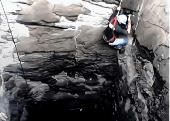 2309003Doguinho sendo resgatado #JESUS#DEUS#jesuschrist#resgateanimal#am…_part2