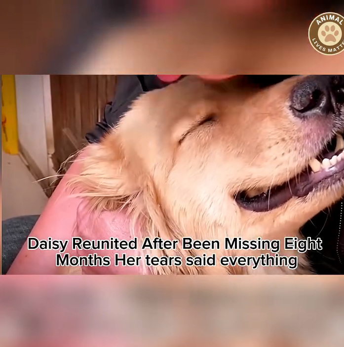 M3108025_Cry From the Heart Dog Reunites With Owner After Years_part2