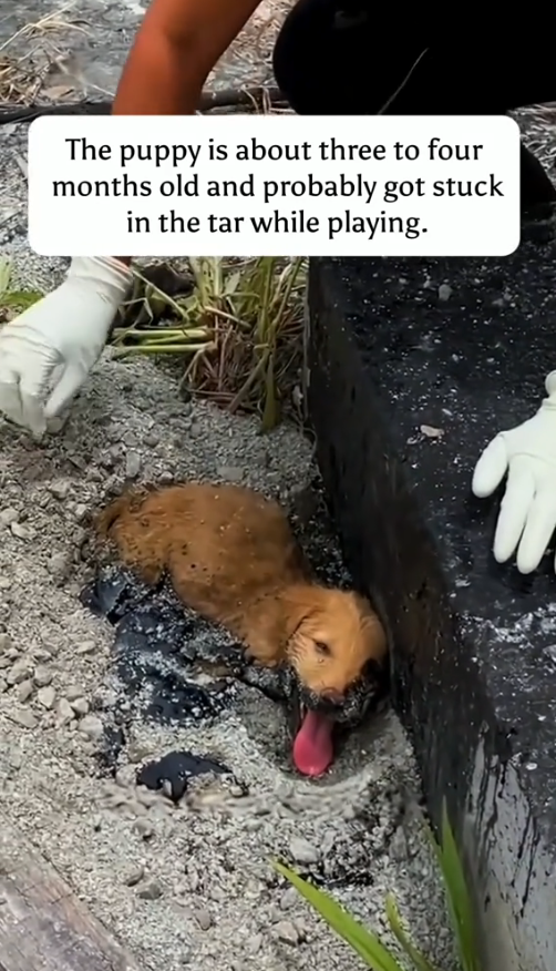 M2609006_YSHI9IJZ_part2