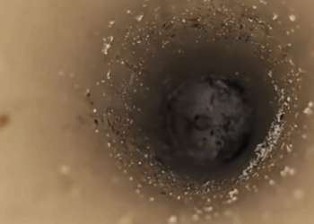 M2809021_how to get the kitten out of the deep hole#cat #cute #catsoftiktok #catpoor #catvideo _part2