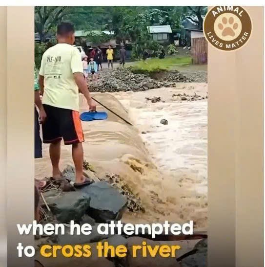 M0509004He Fought to Survive We Fought to Save Him_part2