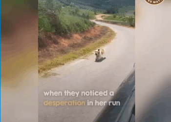 M0509002_She Was Crying for Help We Couldn Walk Away_part2