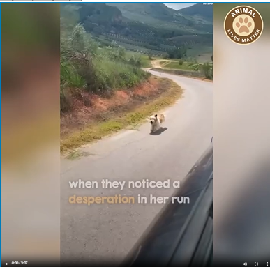 M0509002_She Was Crying for Help We Couldn Walk Away_part2