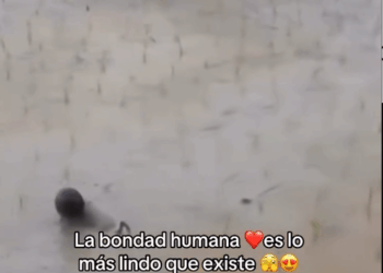 M3108012_Video by maycolsteven_part2