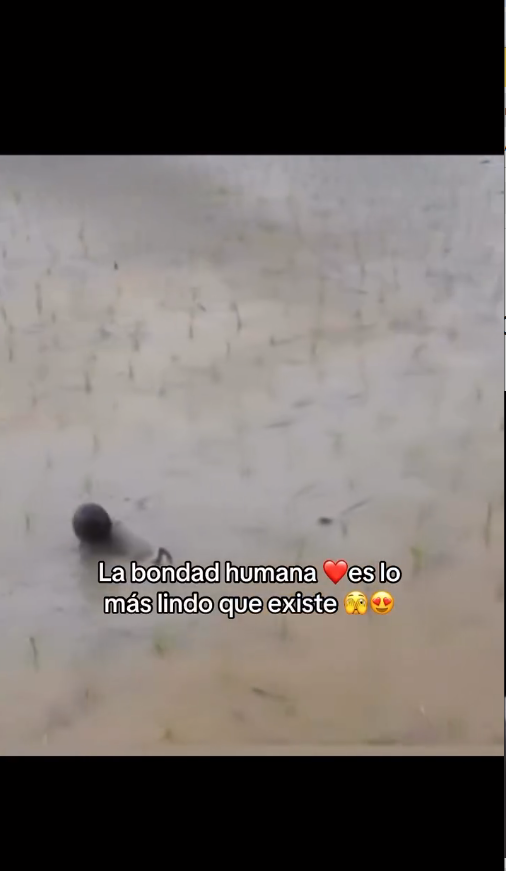 M3108012_Video by maycolsteven_part2