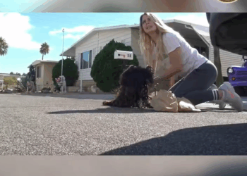 M0509008_He Was Scared and Confused But Look at Him Now_part2