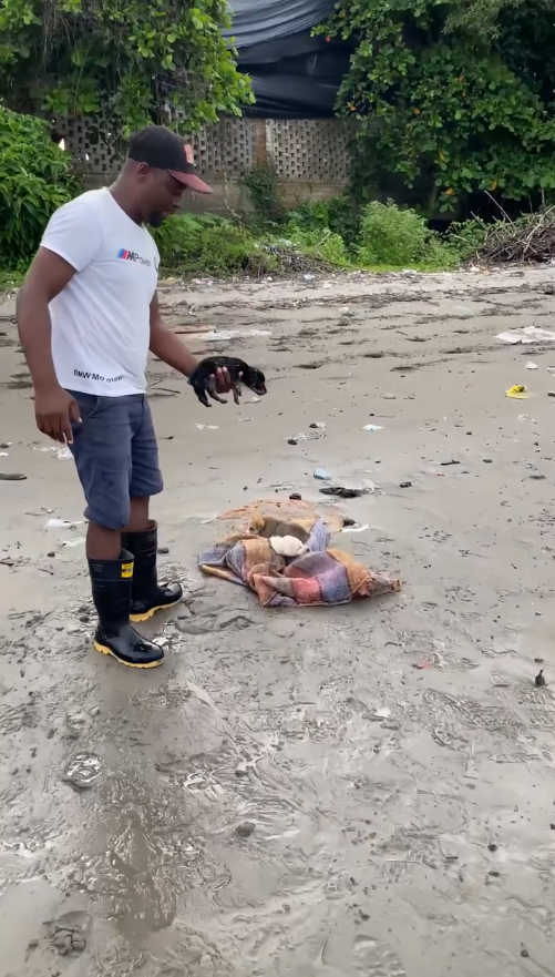 M0509022_Rescatando unos perritos nal sorpresa_part2