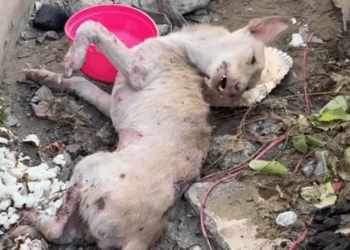 M0509032_Raevin Bonifacio Blogs_part2