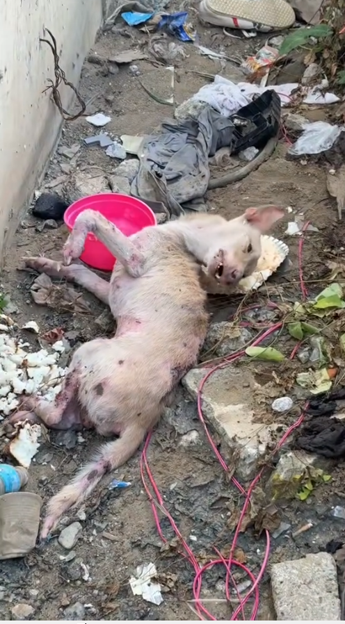 M0509032_Raevin Bonifacio Blogs_part2