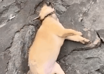 M0809003_This Story will break your heart_part2