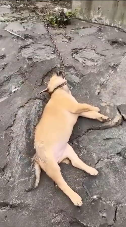 M0809003_This Story will break your heart_part2