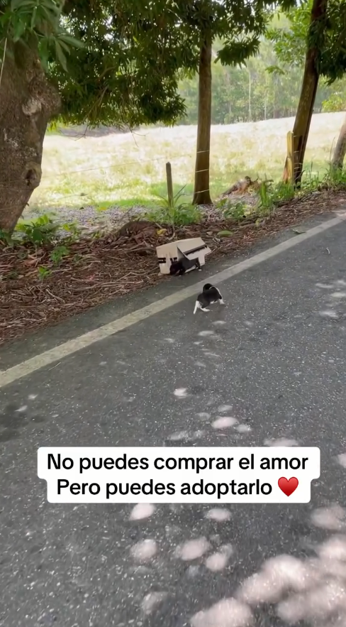 M0509033_Porque dejarlos hay tirados_part2