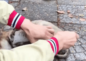 M0509045_This Story will break your heart_part2