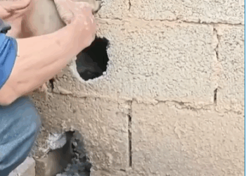 M0509046_rescueanimals straydogs facebookreel rescuepuppy Dog Caring Shelter_part2