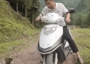 M0509044_People are different_part2