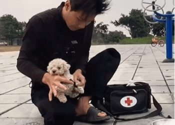 M0809018_Who someone do this and why. fblifesytle SMD_part2