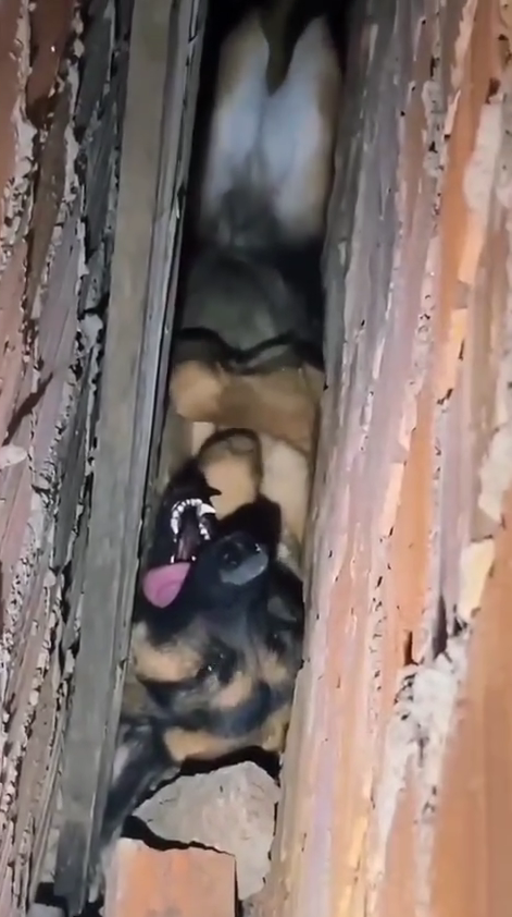 M0809006_Anjos heróis Feliz dia dos pais Jerry Bolsas_part2