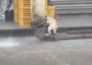 M0809029_Jim Kilby on Reels (3)_part2