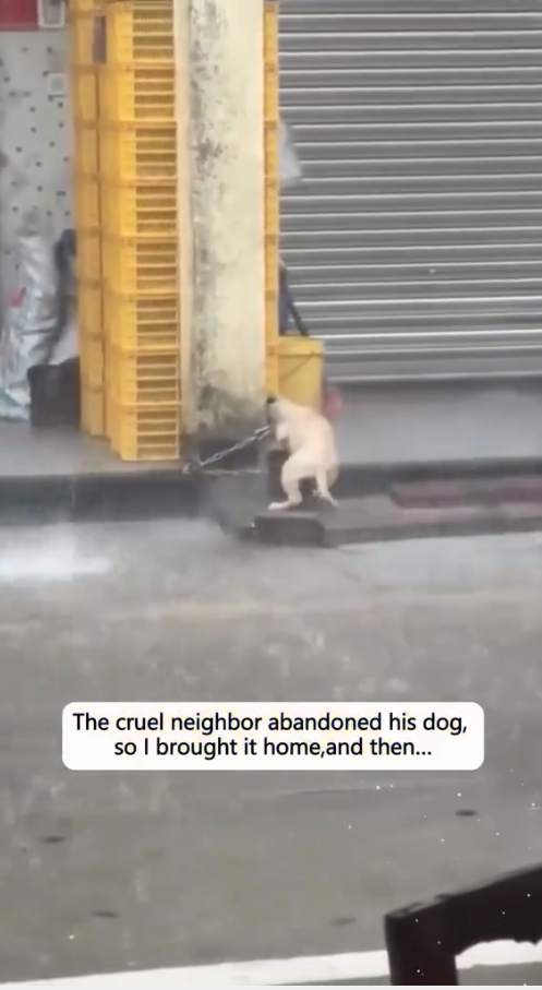 M0809029_Jim Kilby on Reels (3)_part2