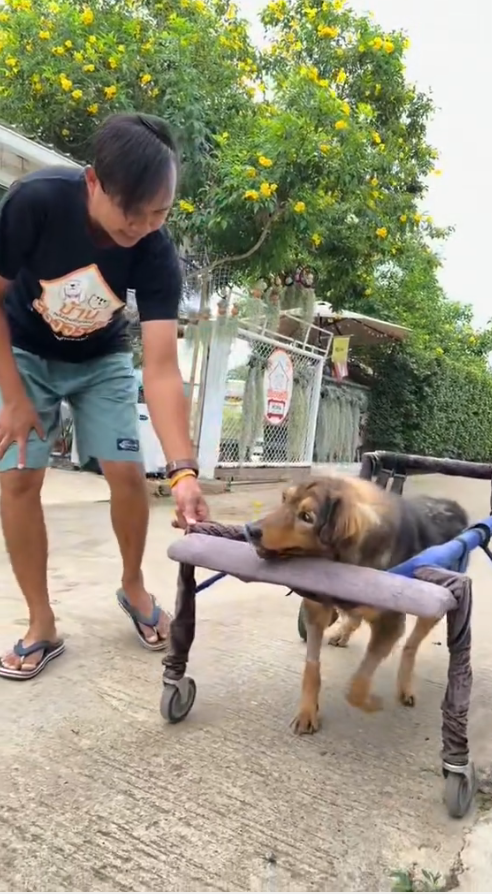 M3108005 please everyone see this video don’t skip it, give this strength