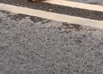 M0809031_Jim Kilby on Reels_part2