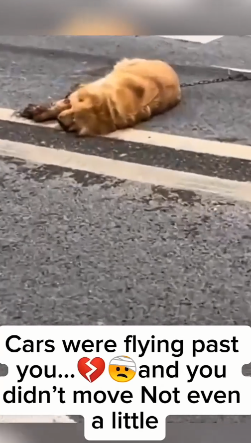 M0809031_Jim Kilby on Reels_part2